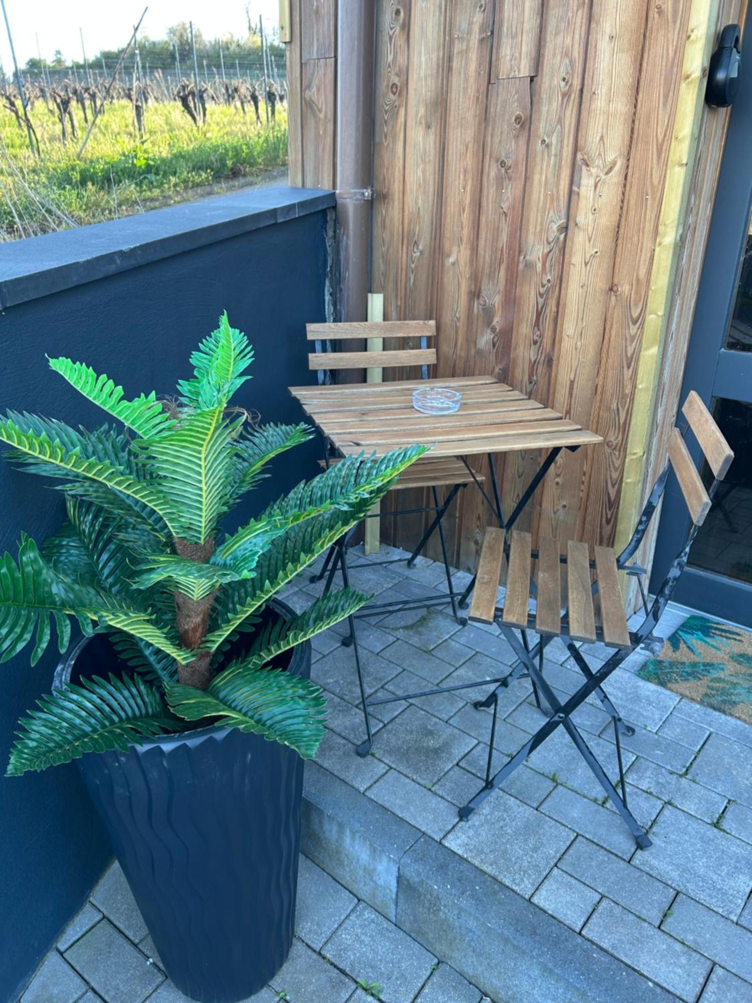 Suite Liana - Spa- Sauna Rorschwihr Buitenkant foto